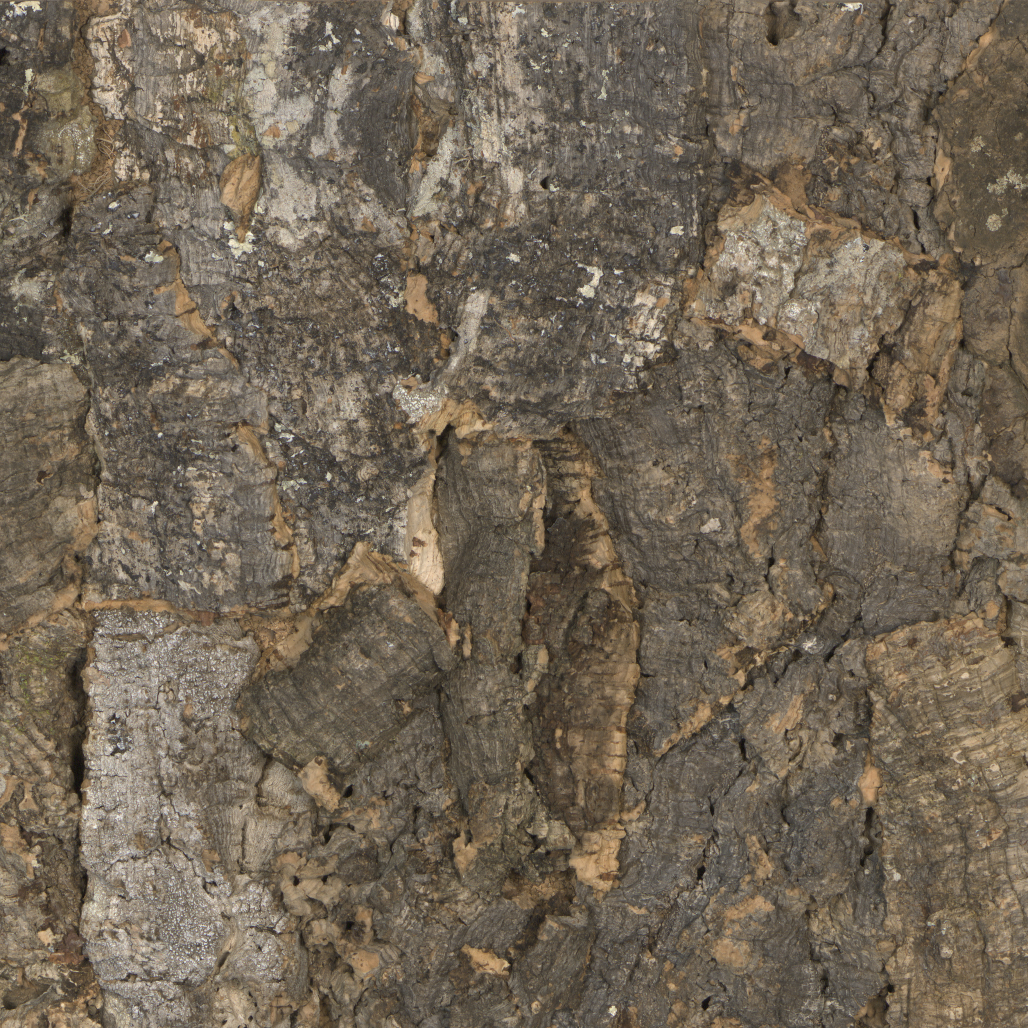 RustiCork - BARK